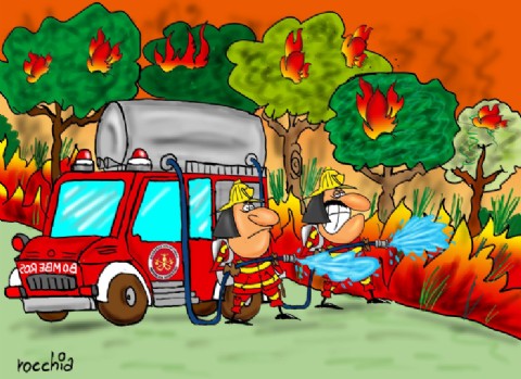 El Gobierno ofrece ayuda para combatir incendio en la Patagonia argentina