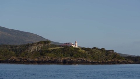 El proyecto de conservación que busca sobrevivir al cambio de Gobierno en Chile