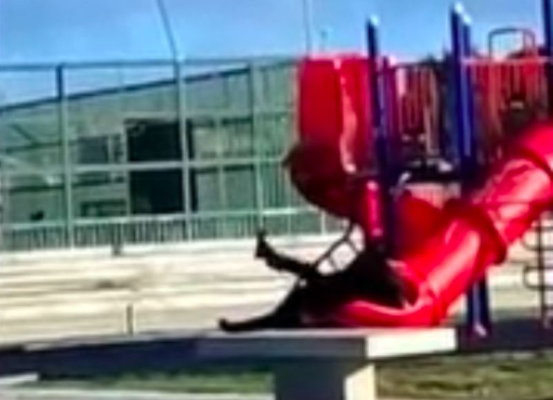 VIDEO | Bochornoso: Boric se lanzó por un tobogán infantil, se quedó atascado y lo rompió al intentar liberarse