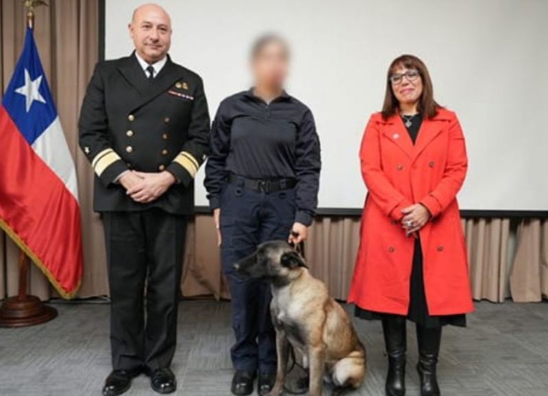 Perro antidroga se lanza contra bolsillo de vicealmirante de la Armada