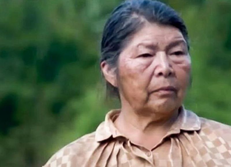 Audio compromete a empresario en desaparición de defensora ambiental Julia Chuñil