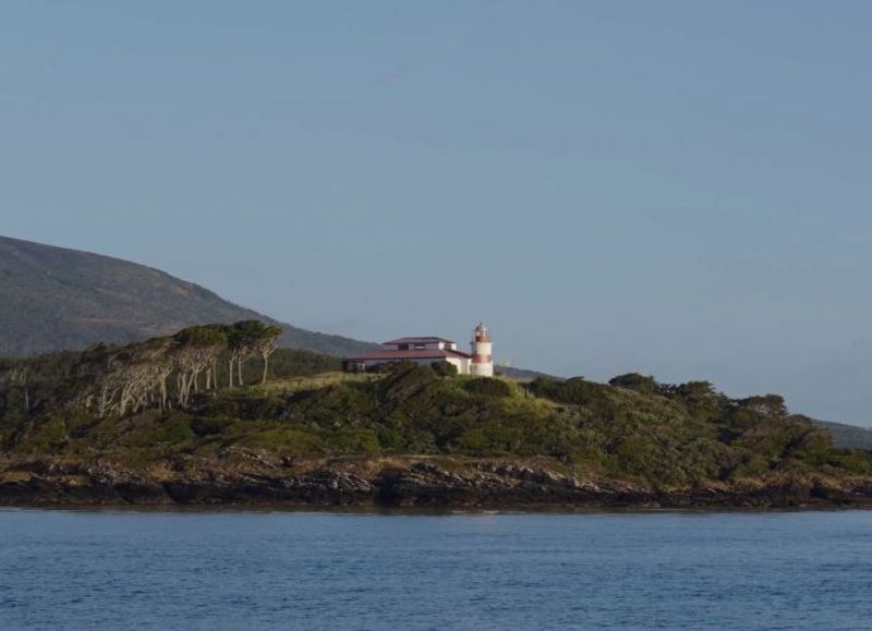 El proyecto de conservación que busca sobrevivir al cambio de Gobierno en Chile